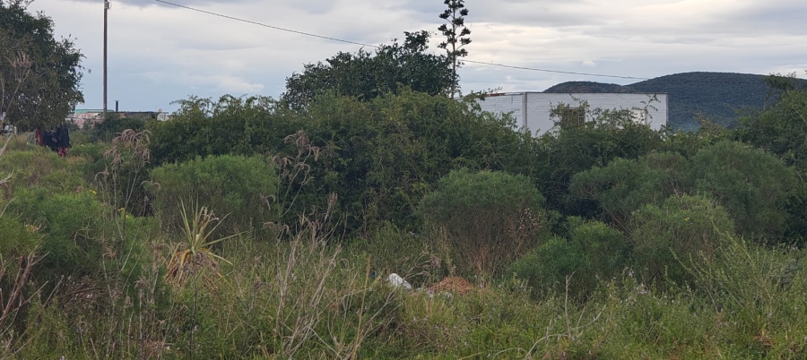 0 Bedroom Property for Sale in Colchester Eastern Cape